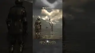 СУПЕР РЕДКИЕ ВСТРЕЧИ В Hogwarts Legacy