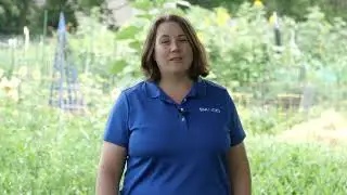 Compost Troubleshooting