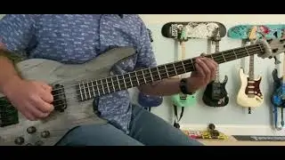 ABBA- One of us   (bass cover)