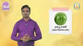 FRUITS | Fruits | SIGN LANGUAGE | Sign Language | Session 9 | Kalvi TV