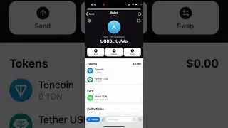 How to CREATE TON SPACE WALLET?