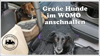Große Hunde im Wohnmobil anschnallen zum reisen