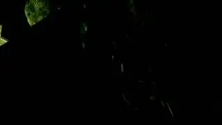 KOEO (дубль 2).mp4