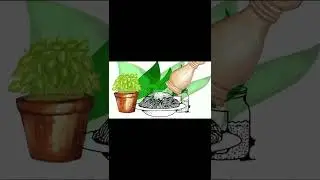 P&acirc;tes vegan - GIF anim&eacute;
