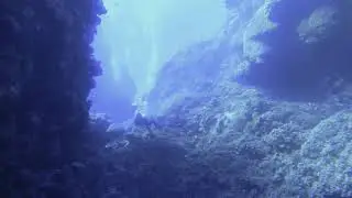 Egypt 18 - freediving and snorkelling on Fury Shoals