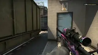 RONOZ Highlights | Counter-Strike: Global Offensive