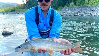 Sun-Down BULL TROUT Fly Fishing on the Sheep River - ALBERTA, CAN