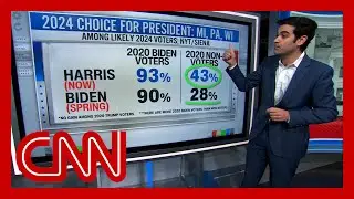 &lsquo;Clear momentum&rsquo;: New polling shows voters&rsquo; enthusiasm for Harris