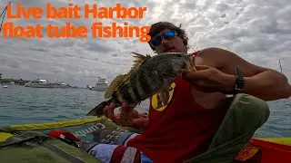 Newport Harbor float tube Fishing with Live Bait n Kush