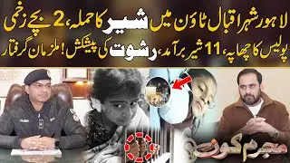 Lion Attack Lahore | 11 Lions Rescued From Illegal Zoo in Lahore | Mujrim Kon