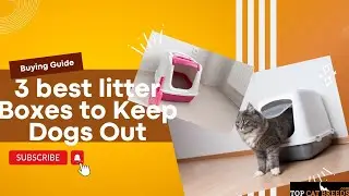 3 Best Litter Boxes To Keep Dogs Out Buying Guide