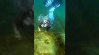 SHIPWRECK MERMAID (Lake Michigan shipwreck footage with Mermaid Phantom) #shorts