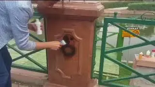 WALL GUARD RMV 1 - Clean the Spray Paint on natural stone and concrete.