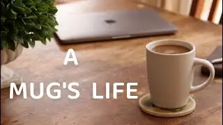 A Mug's Life | Short Film |