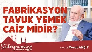 FABRİKASYON TAVUK YEMEK CAİZ MİDİR? - PROF. DR. CEVAT AKŞİT HOCAEFENDİ