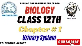 Urinary System Anatomy and Physiology | 12th Biology new book | Chapter 1 | Homeostasis 