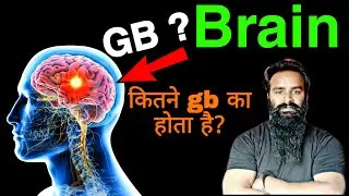 Storage Capacity of Human Brain in Hindi Explain