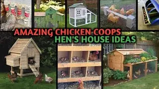 Amazing Chicken Coops || Hen's House Ideas || Amazing Chicken House || Unique Designs ||