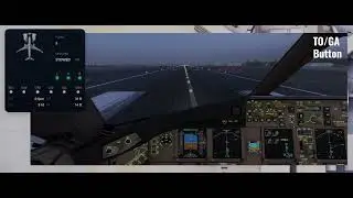 Failed PMDG 777 Autoland (Test video format)