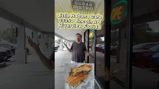 Little Habana Riverview Florida #foodreview #mukbang #latinfood #steaksandwic