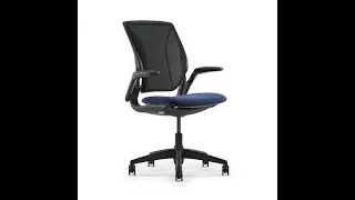 Humanscale World LM Chair with Adjustable Arms Black Frame Review - Pros & Cons - Humanscale World