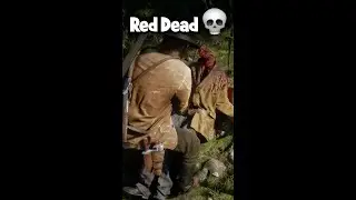 RED DEAD STORY MODE IN A NUTSHELL