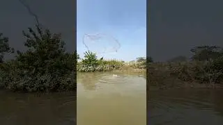 Relaxing River Fishing with Traditional Cast Net. #RelaxingFishing #PeacefulFishing #NatureSounds