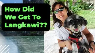 Is It POSSIBLE To Travel To LANGKAWI Malaysia With Your Pet Dog? Find Out HOW
