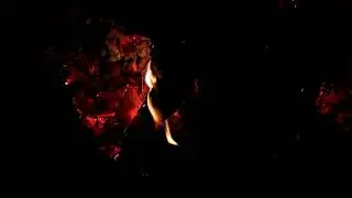 Campfire Sleep & Relaxation Ambience 🔥 Crackling Fire + Train Horns & Church Bells for Focus