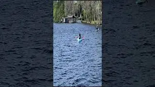 Snowbirding Travel Tips -Paradise Cove Boat Rentals #shorts #snowbird #boats #traveltips #lakebryan
