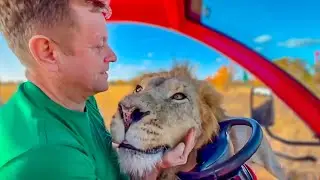 Oleg Zubkov goes to his lions, and it turns out they're ALL IN THE SPREE!