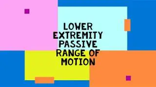 Lower Extremity Passive Range of Motion