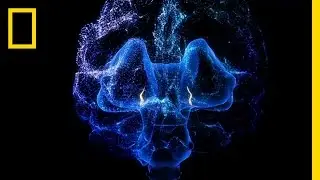 The On, Off Switch of Consciousness | Breakthrough