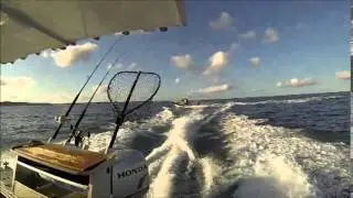 Breaksea Spit 2014