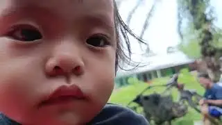 Badia victory br Loho tamasya kekandang sapi om Bowo kandang mas kota bengkulu. Rekreasi alam