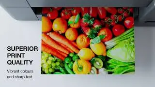 Super Low Cost Brother Refill Ink Tank Printers for Home