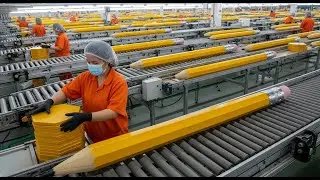 Pencil manufacturing process: Producing 2 billion pencils per day from wood (Large-scale factory)