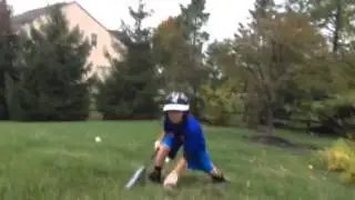 Dimarini