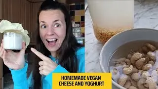 Epic Vegan Cheese & Yogurt: Homemade Goodness Unleashed!