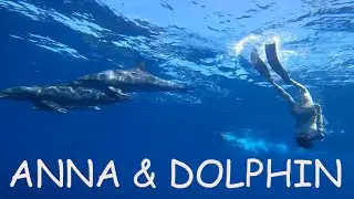 ANNA&DOLPHIN