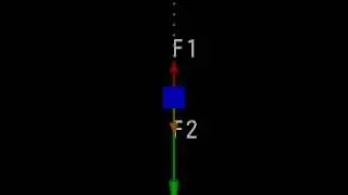 Bensky Physics 131 NLI.d: Falling Box With Zero Net Force