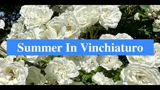 Summer In Vinchiaturo Italy / Estate A Vinchiaturo Italia