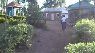 IMGP0006