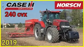Case IH Puma 240 cvx + Horsch Pronto 6 DC - Set&iacute; Řepky 2019 - !! ORIGINAL SOUND !!