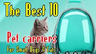 backpack-style carrier for small dogs and cats