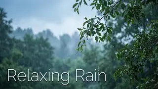 Rainfall Sounds at Night 🌙 | Deep Relaxation & Anxiety Relief