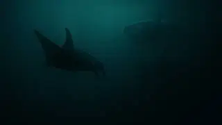 Orcas Sing You to Sleep 🐋🌙 Deep Ocean Ambience ASMR | 12:01 AM 