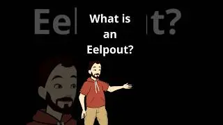 What is an Eelpout?