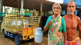 1 மாட்டிலிருந்து 40 மாடுகள் குழந்தைகளை படிக்க வைத்ததே மாடுகளினால்தான் | Arokya Milk | Siva Arun Tv