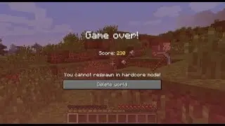 Minecraft Hardcore but with natural regeneration off end ss1